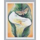 FLORES MARIPOSAS St VINCENT GRENADINES HOJA BLOQUE NUEVA MINT ALTO FACIAL